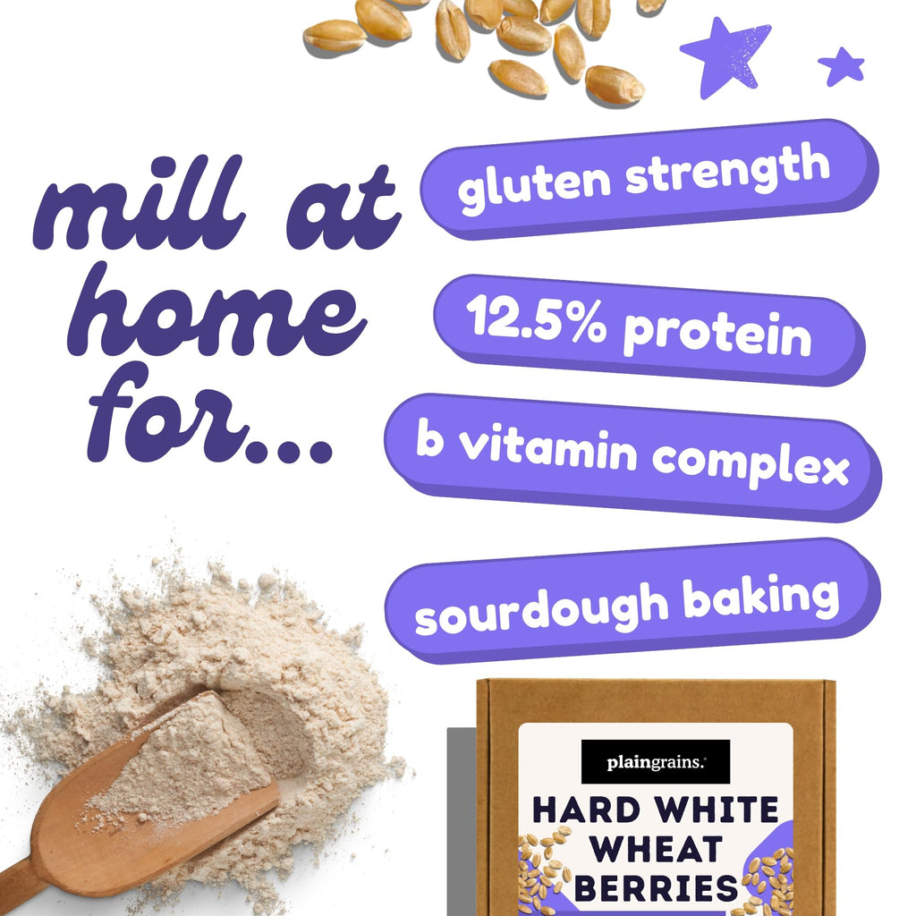 5.5 LB Dry Hard White Wheat Berries Whole Grain D749