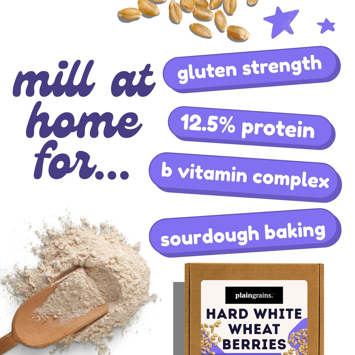5.5 LB Dry Hard White Wheat Berries Whole Grain D749