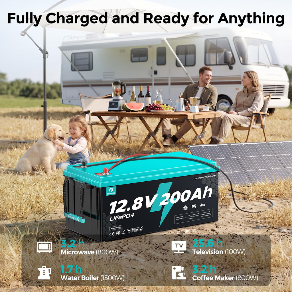 12V 200Ah LiFePO4 Battery K13543