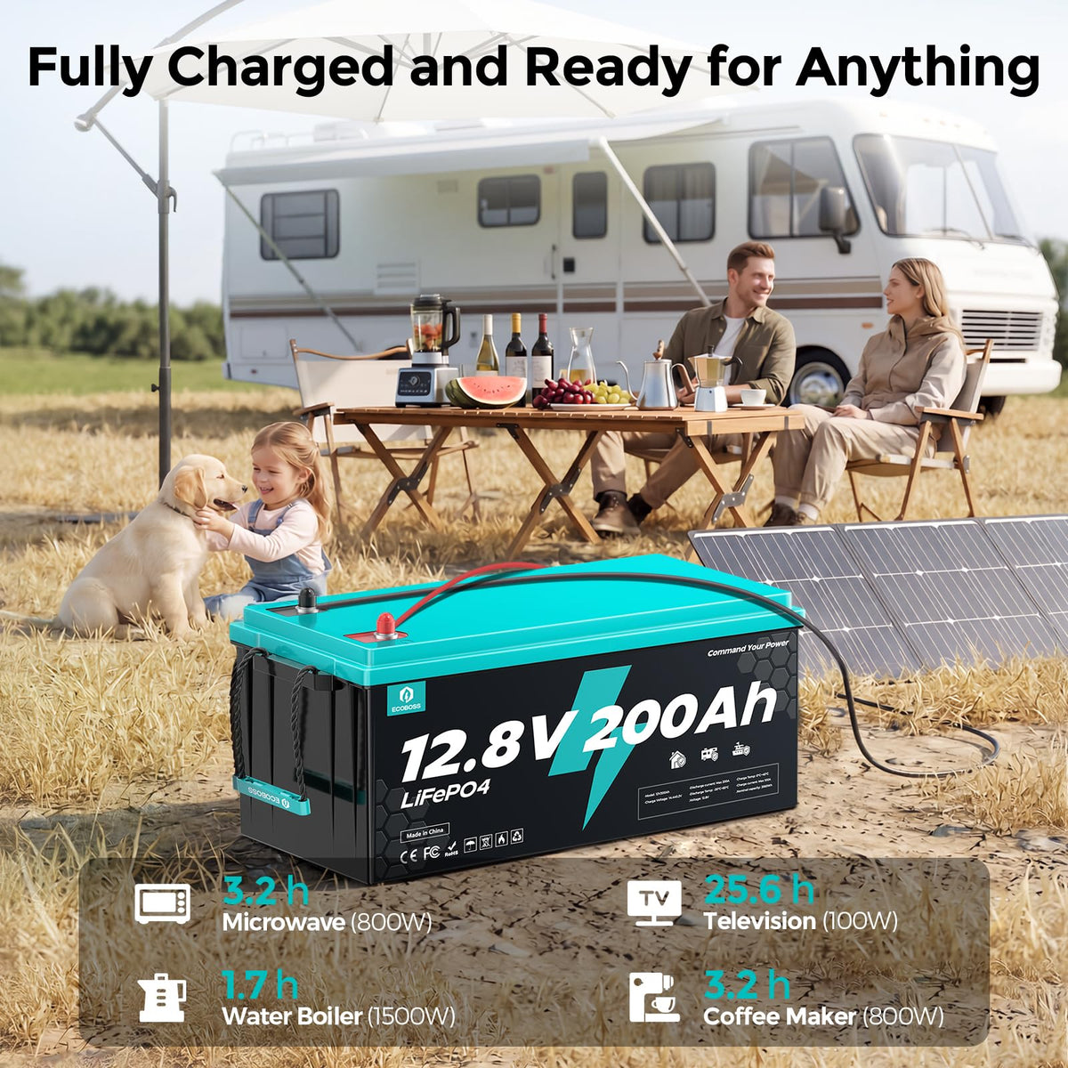 12V 200Ah LiFePO4 Battery K13543