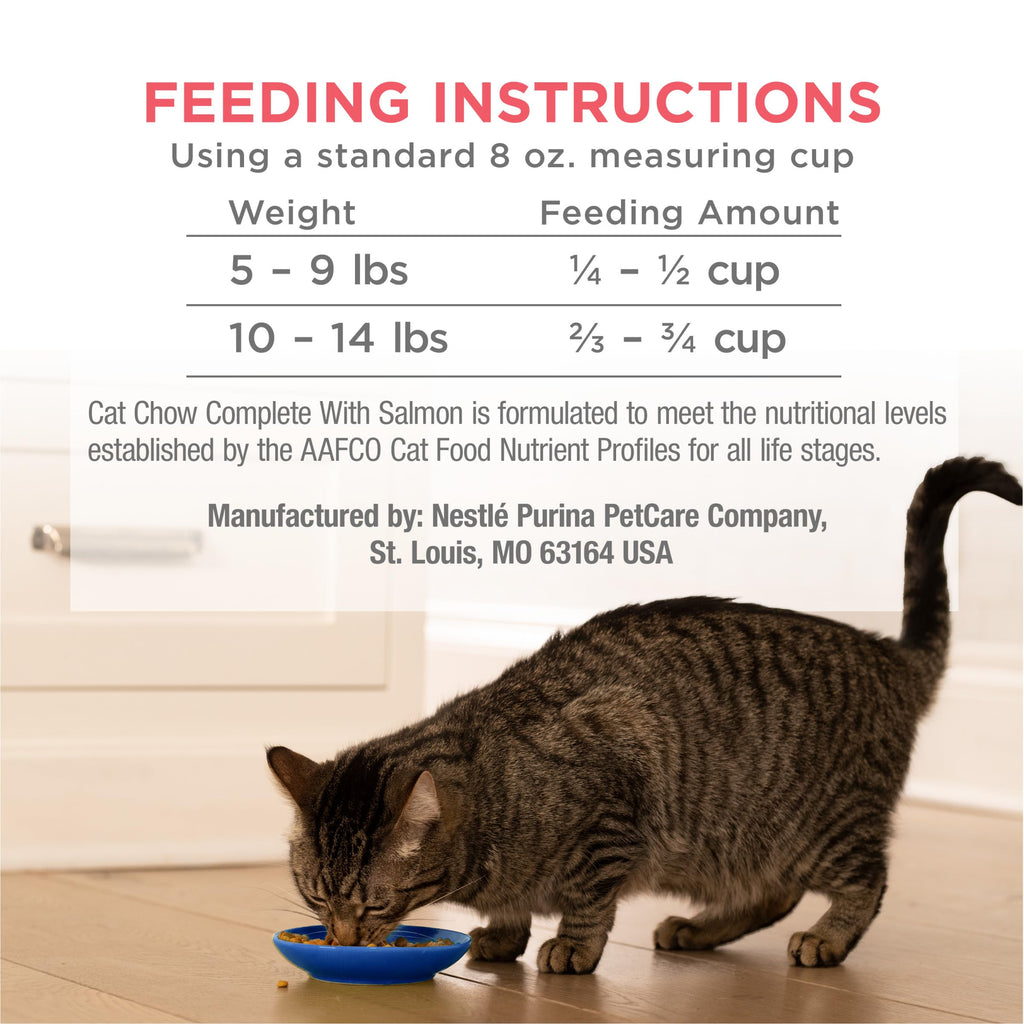 Salmon High Protein Dry Cat Food P7819