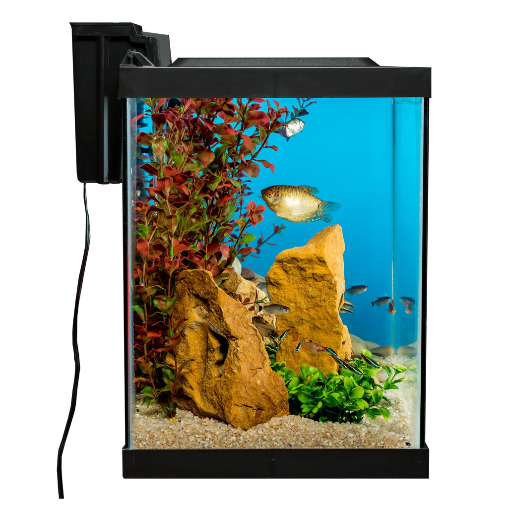 20 Gallon Fish Tank Kit E600767