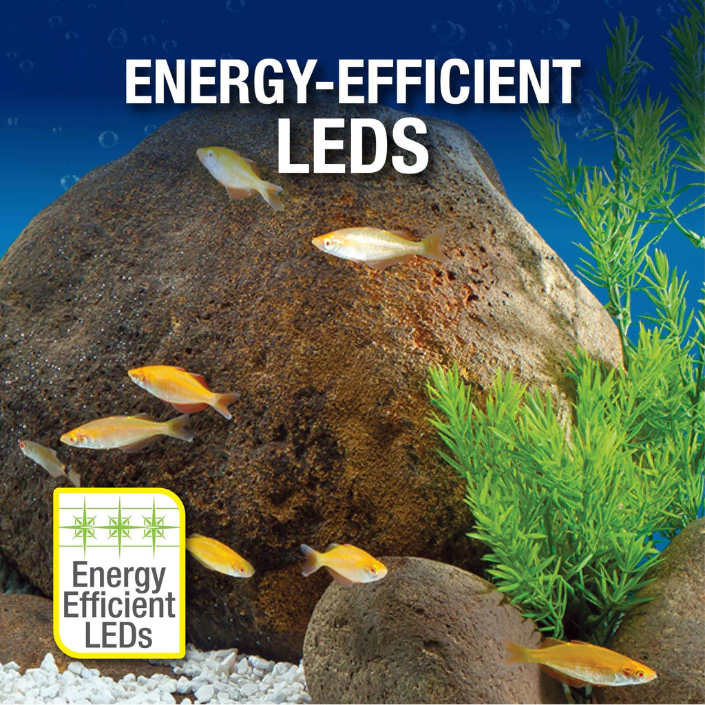 20 Gallon Fish Tank Kit E600767