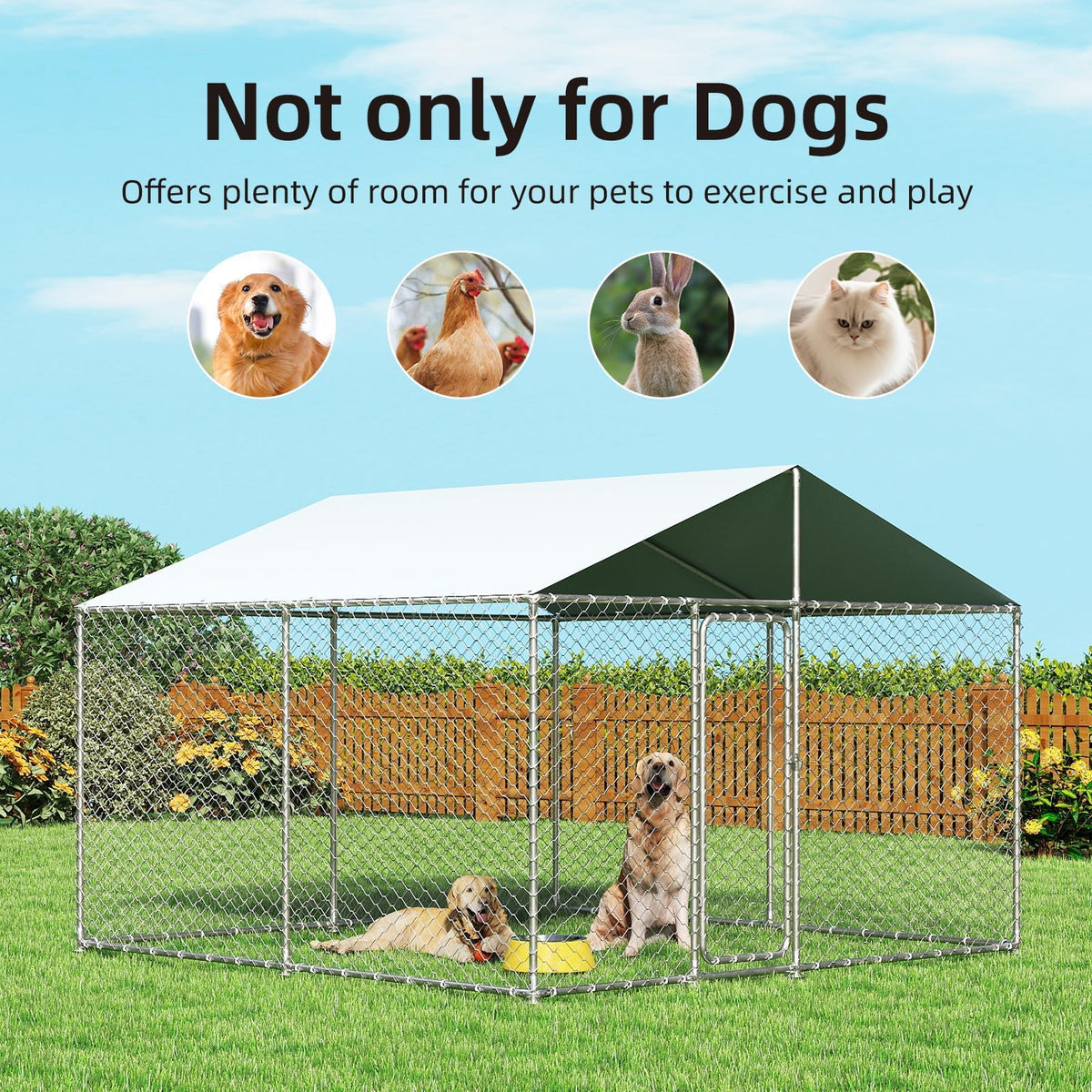 10x10 ft Heavy Duty Outdoor Dog Kennel Y2783