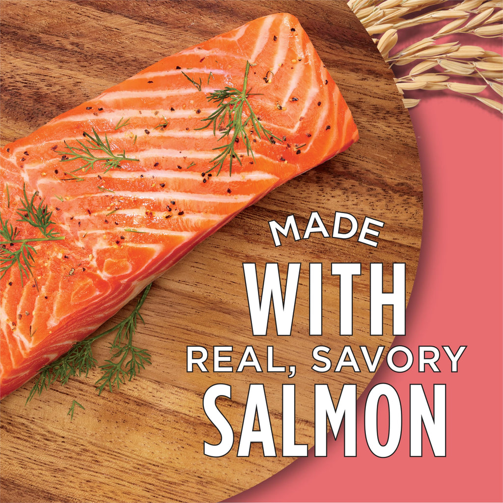 Salmon High Protein Dry Cat Food P7819