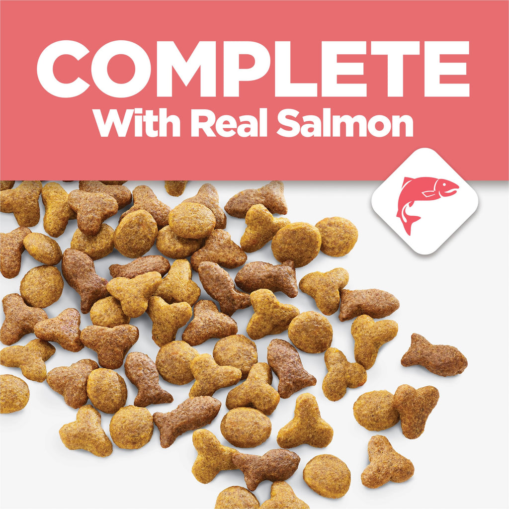 Salmon High Protein Dry Cat Food P7819